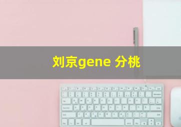 刘京gene 分桃